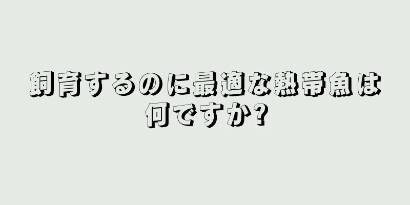飼育するのに最適な熱帯魚は何ですか?