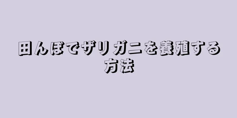 田んぼでザリガニを養殖する方法