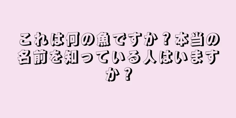 これは何の魚ですか？本当の名前を知っている人はいますか？