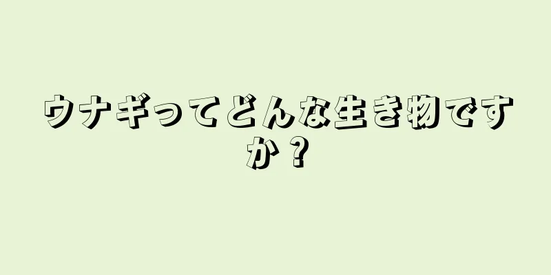 ウナギってどんな生き物ですか？