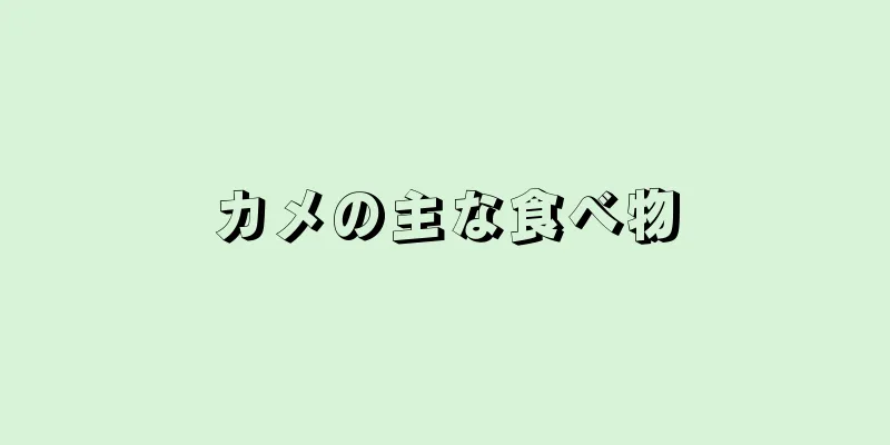 カメの主な食べ物