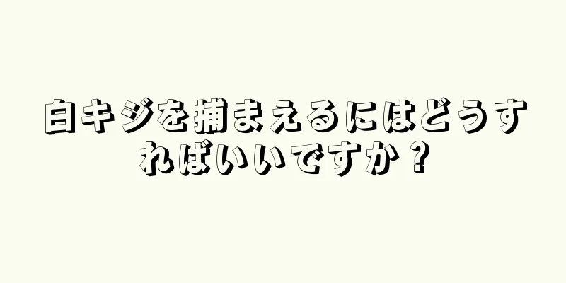 白キジを捕まえるにはどうすればいいですか？