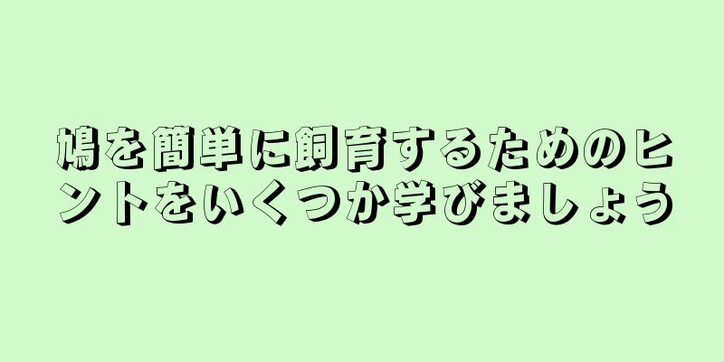 鳩を簡単に飼育するためのヒントをいくつか学びましょう