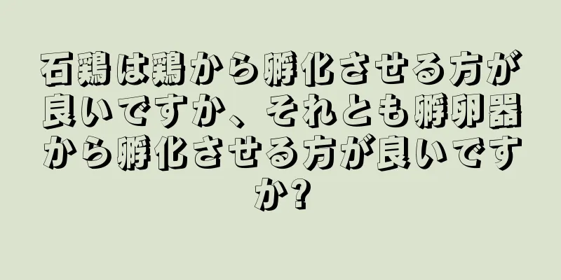 石鶏は鶏から孵化させる方が良いですか、それとも孵卵器から孵化させる方が良いですか?