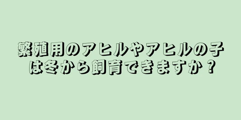 繁殖用のアヒルやアヒルの子は冬から飼育できますか？