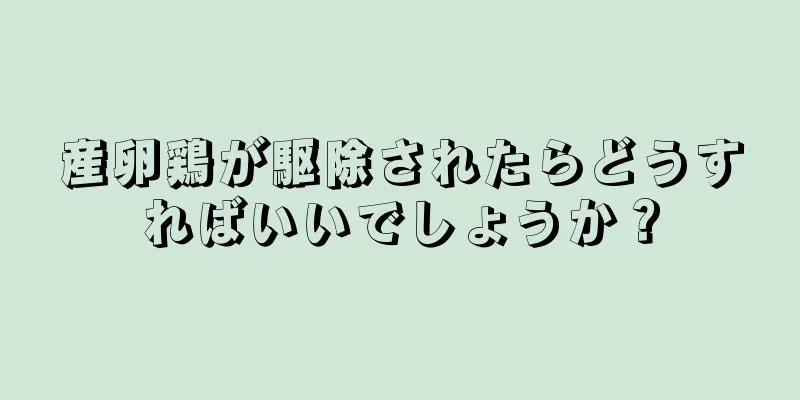 産卵鶏が駆除されたらどうすればいいでしょうか？