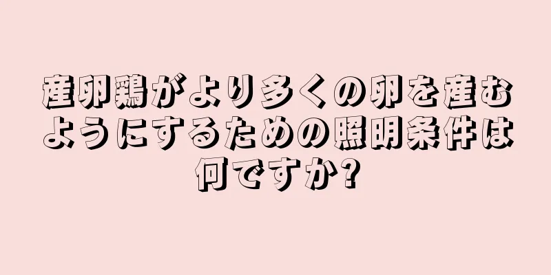 産卵鶏がより多くの卵を産むようにするための照明条件は何ですか?