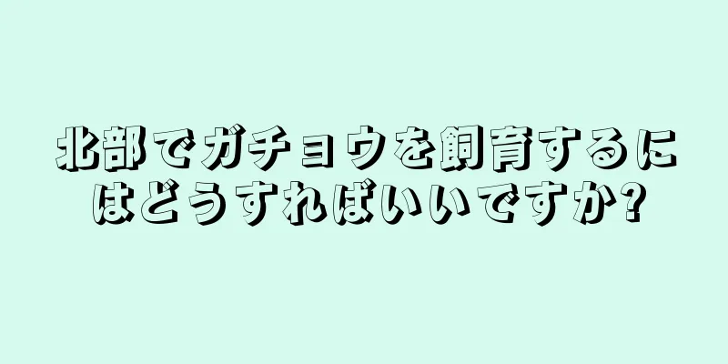 北部でガチョウを飼育するにはどうすればいいですか?