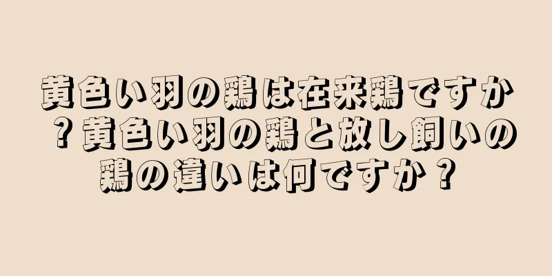黄色い羽の鶏は在来鶏ですか？黄色い羽の鶏と放し飼いの鶏の違いは何ですか？