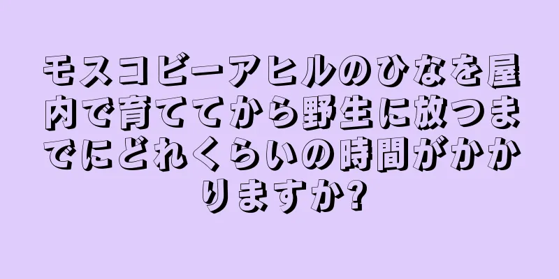 モスコビーアヒルのひなを屋内で育ててから野生に放つまでにどれくらいの時間がかかりますか?