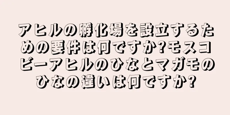 アヒルの孵化場を設立するための要件は何ですか?モスコビーアヒルのひなとマガモのひなの違いは何ですか?