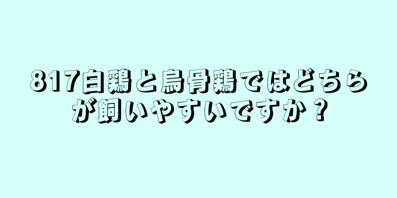 817白鶏と烏骨鶏ではどちらが飼いやすいですか？
