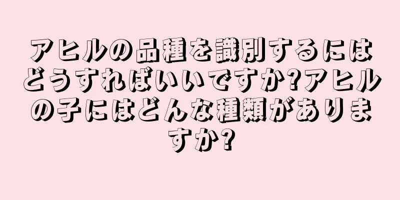 アヒルの品種を識別するにはどうすればいいですか?アヒルの子にはどんな種類がありますか?