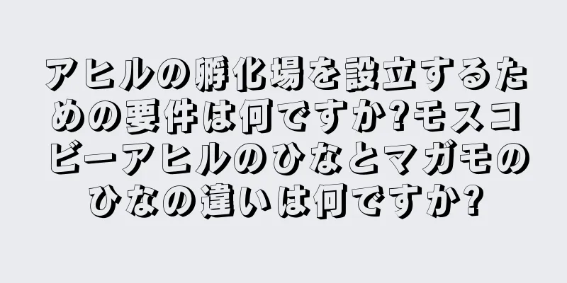 アヒルの孵化場を設立するための要件は何ですか?モスコビーアヒルのひなとマガモのひなの違いは何ですか?