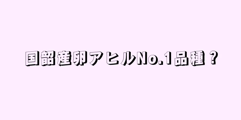 国韶産卵アヒルNo.1品種？