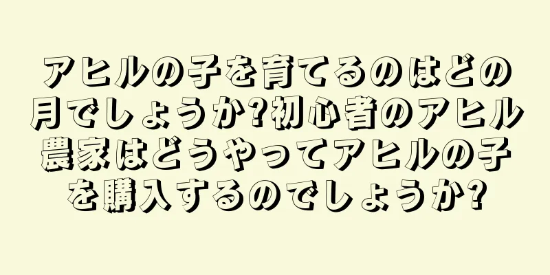 アヒルの子を育てるのはどの月でしょうか?初心者のアヒル農家はどうやってアヒルの子を購入するのでしょうか?