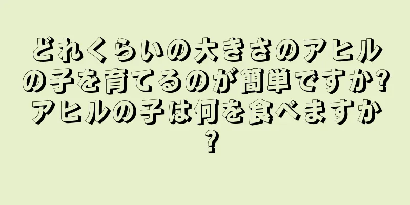 どれくらいの大きさのアヒルの子を育てるのが簡単ですか?アヒルの子は何を食べますか？