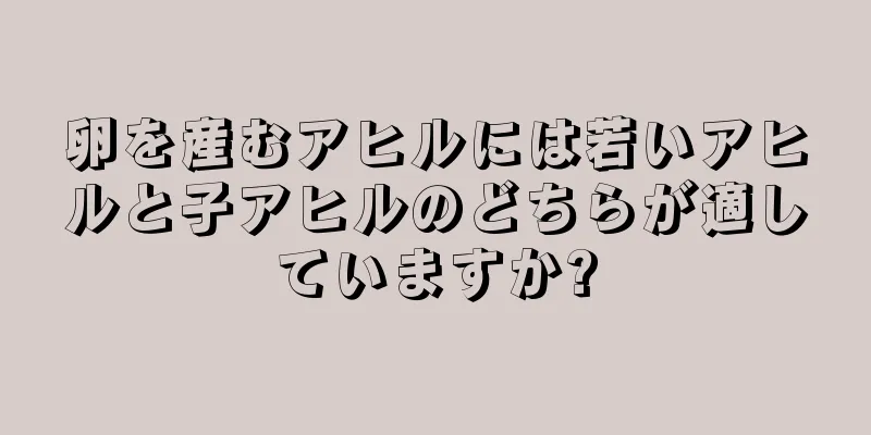 卵を産むアヒルには若いアヒルと子アヒルのどちらが適していますか?