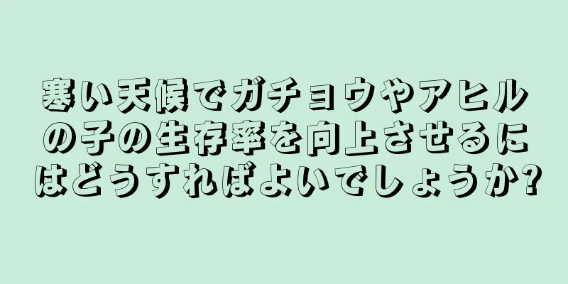 寒い天候でガチョウやアヒルの子の生存率を向上させるにはどうすればよいでしょうか?