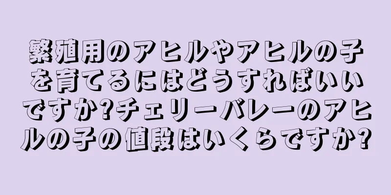 繁殖用のアヒルやアヒルの子を育てるにはどうすればいいですか?チェリーバレーのアヒルの子の値段はいくらですか?