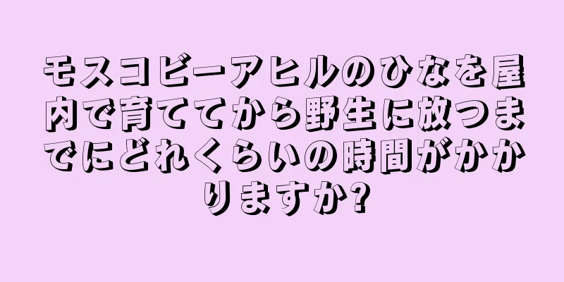 モスコビーアヒルのひなを屋内で育ててから野生に放つまでにどれくらいの時間がかかりますか?