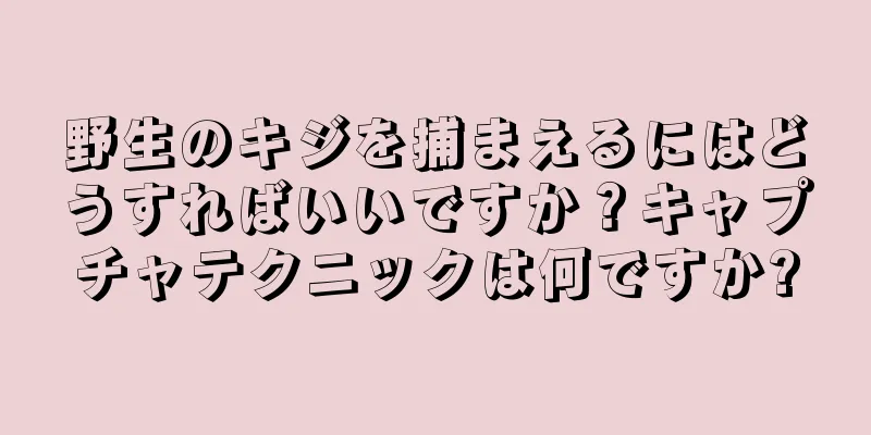 野生のキジを捕まえるにはどうすればいいですか？キャプチャテクニックは何ですか?