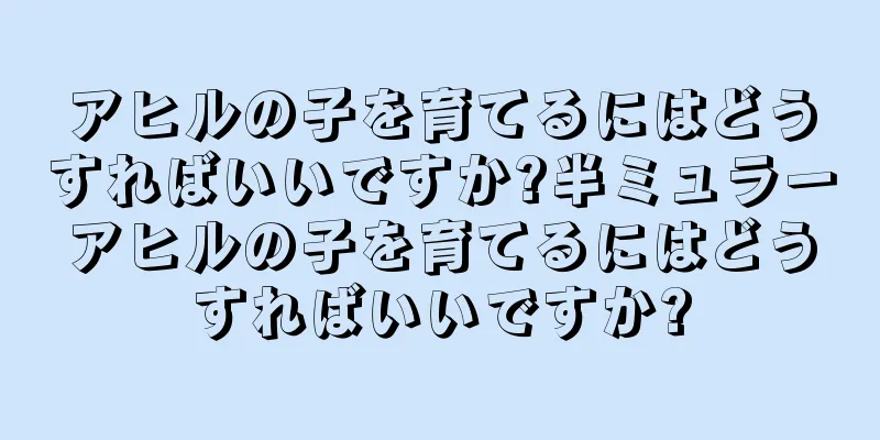 アヒルの子を育てるにはどうすればいいですか?半ミュラーアヒルの子を育てるにはどうすればいいですか?