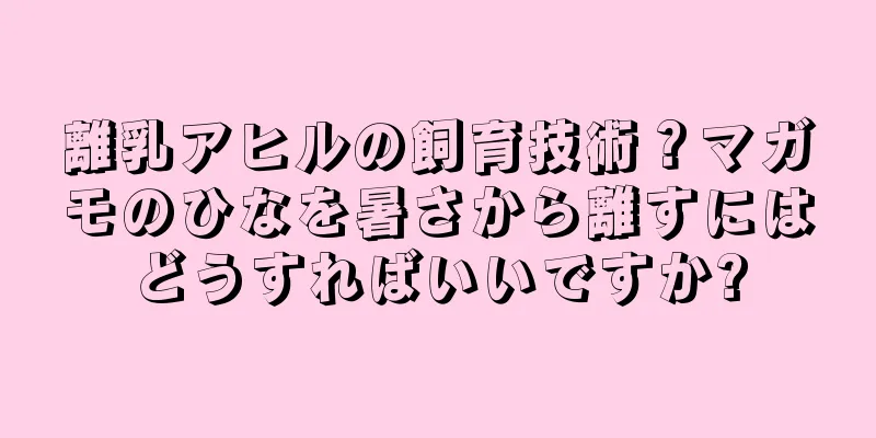 離乳アヒルの飼育技術？マガモのひなを暑さから離すにはどうすればいいですか?