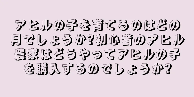 アヒルの子を育てるのはどの月でしょうか?初心者のアヒル農家はどうやってアヒルの子を購入するのでしょうか?