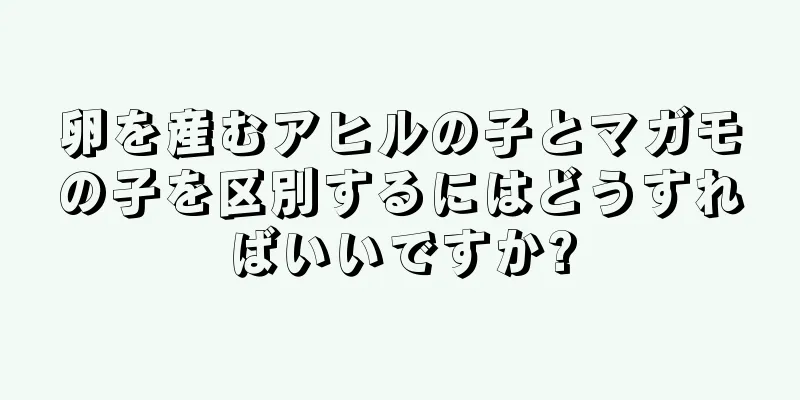 卵を産むアヒルの子とマガモの子を区別するにはどうすればいいですか?
