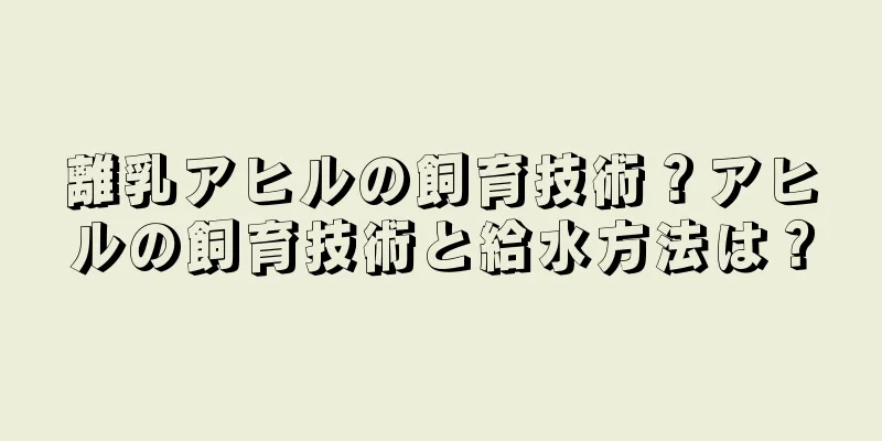 離乳アヒルの飼育技術？アヒルの飼育技術と給水方法は？