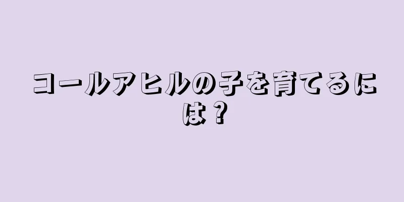 コールアヒルの子を育てるには？