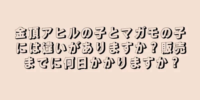 金頂アヒルの子とマガモの子には違いがありますか？販売までに何日かかりますか？