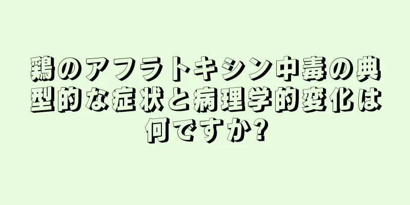 鶏のアフラトキシン中毒の典型的な症状と病理学的変化は何ですか?