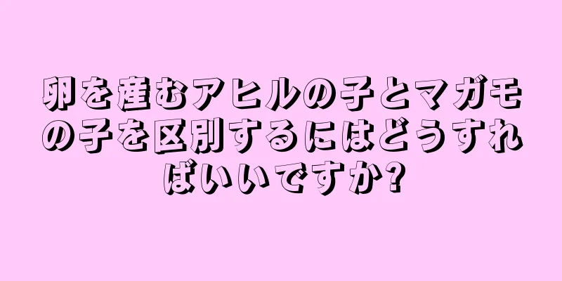 卵を産むアヒルの子とマガモの子を区別するにはどうすればいいですか?