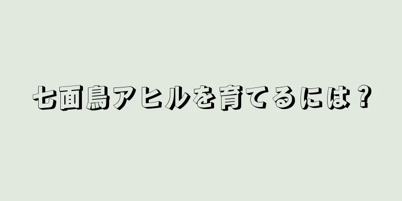 七面鳥アヒルを育てるには？