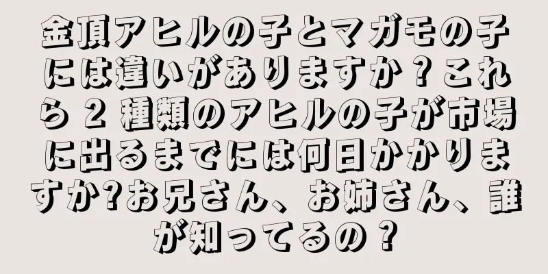 金頂アヒルの子とマガモの子には違いがありますか？これら 2 種類のアヒルの子が市場に出るまでには何日かかりますか?お兄さん、お姉さん、誰が知ってるの？