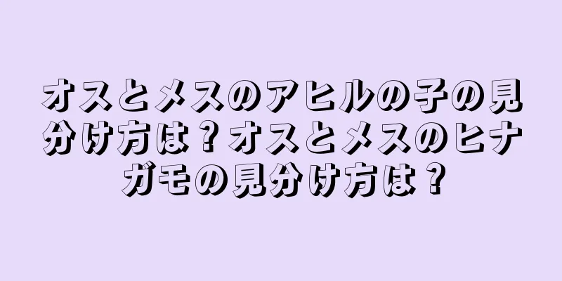 オスとメスのアヒルの子の見分け方は？オスとメスのヒナガモの見分け方は？
