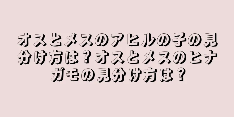 オスとメスのアヒルの子の見分け方は？オスとメスのヒナガモの見分け方は？