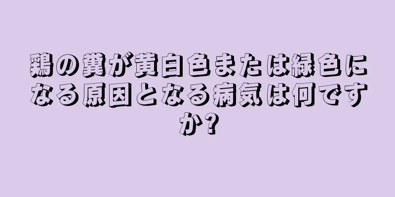 鶏の糞が黄白色または緑色になる原因となる病気は何ですか?
