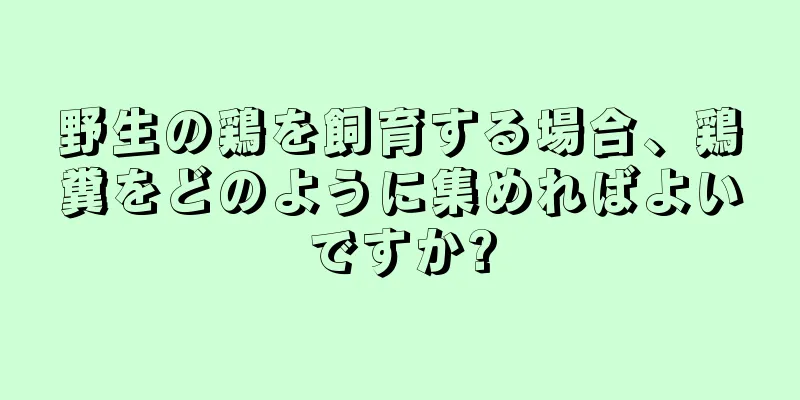野生の鶏を飼育する場合、鶏糞をどのように集めればよいですか?