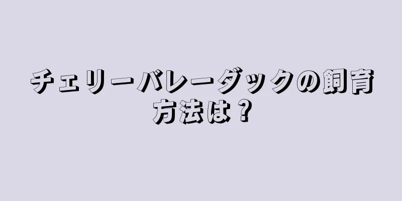 チェリーバレーダックの飼育方法は？