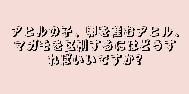 アヒルの子、卵を産むアヒル、マガモを区別するにはどうすればいいですか?