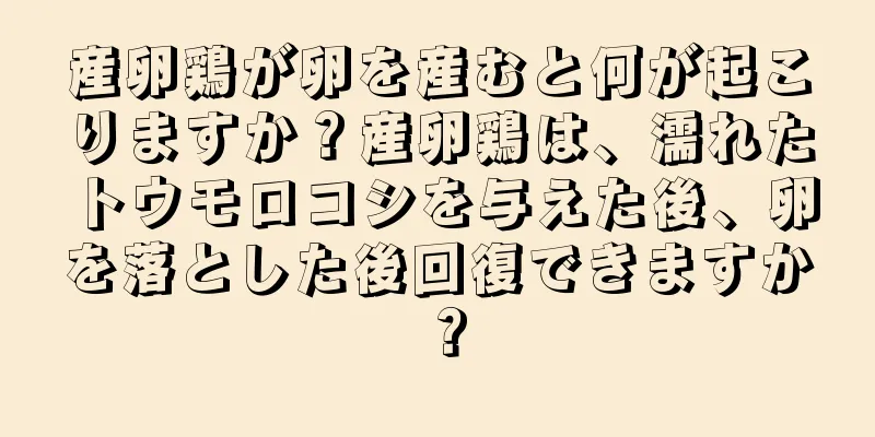 産卵鶏が卵を産むと何が起こりますか？産卵鶏は、濡れたトウモロコシを与えた後、卵を落とした後回復できますか？