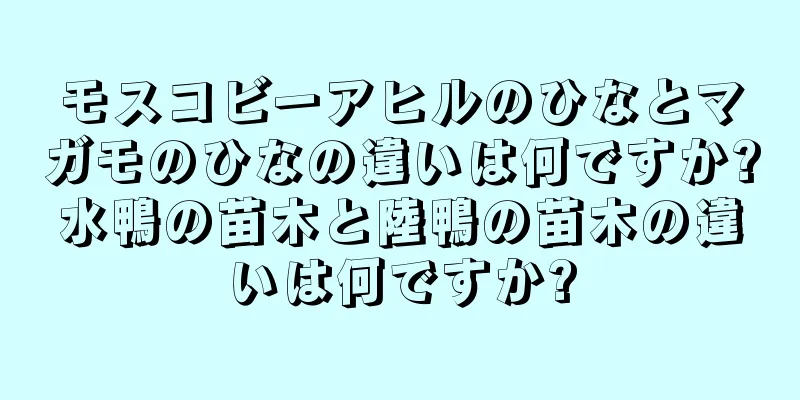 モスコビーアヒルのひなとマガモのひなの違いは何ですか?水鴨の苗木と陸鴨の苗木の違いは何ですか?
