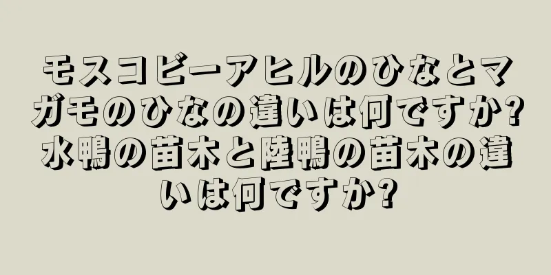 モスコビーアヒルのひなとマガモのひなの違いは何ですか?水鴨の苗木と陸鴨の苗木の違いは何ですか?