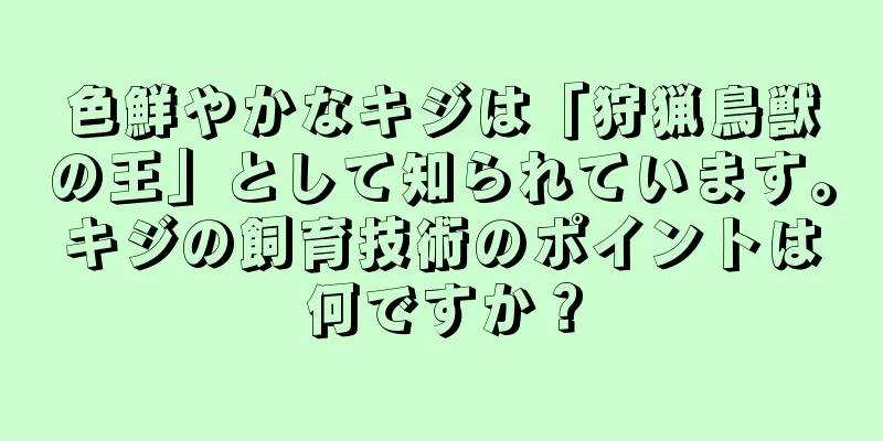 色鮮やかなキジは「狩猟鳥獣の王」として知られています。キジの飼育技術のポイントは何ですか？