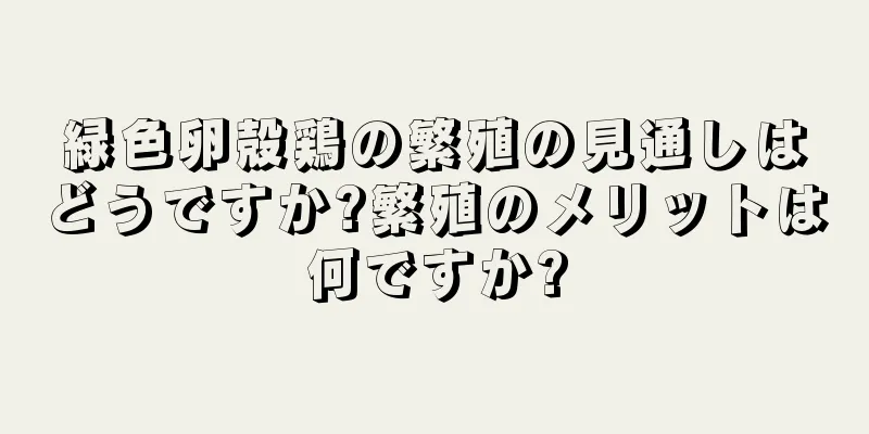 緑色卵殻鶏の繁殖の見通しはどうですか?繁殖のメリットは何ですか?