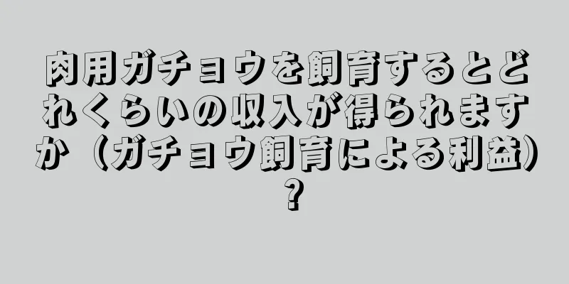 肉用ガチョウを飼育するとどれくらいの収入が得られますか（ガチョウ飼育による利益）？