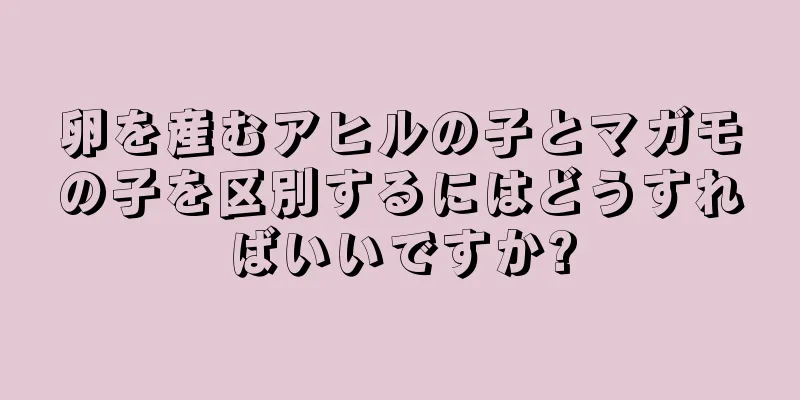 卵を産むアヒルの子とマガモの子を区別するにはどうすればいいですか?